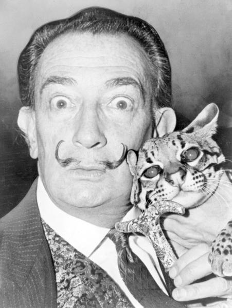 Micio miao