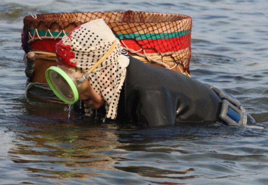 L'isobue, il richiamo delle sirene