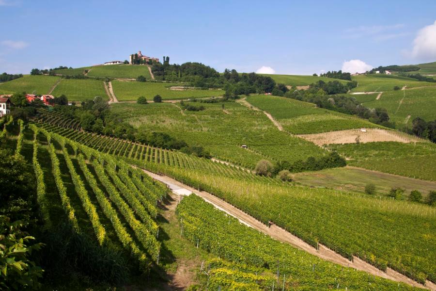 16. Le Langhe, Piemonte