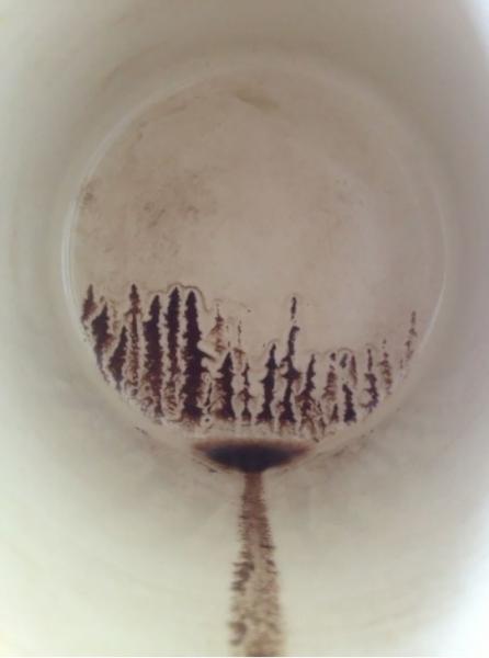 Foreste che nascono da tazzine di caffè.