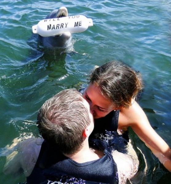 Riprovaci, Flipper!