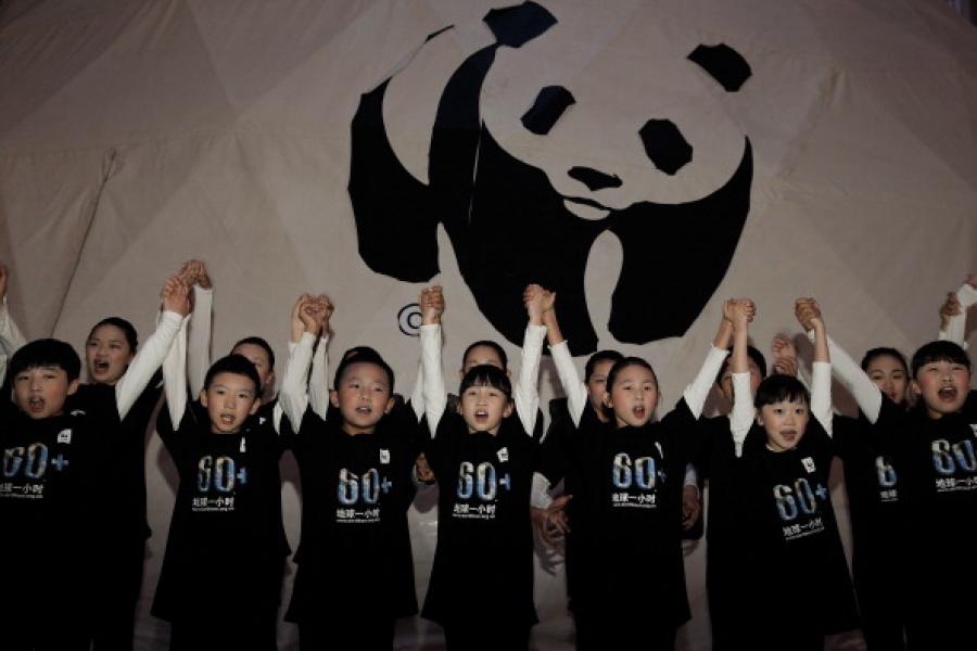 Un venerdì da panda