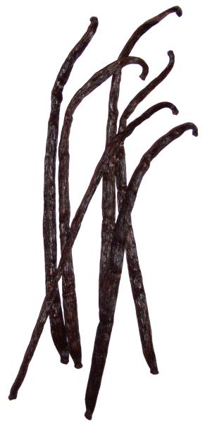 Baccelli di vaniglia