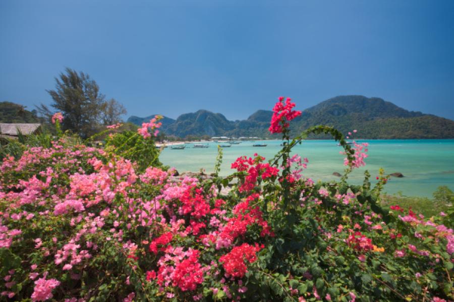 Phi Phi Island, Thailandia