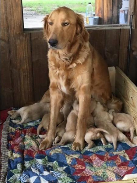 Zoe è contentissima di diventare mamma.