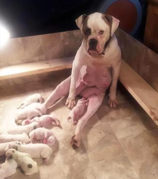 L'inconfondibile sguardo da "prima volta mamma".