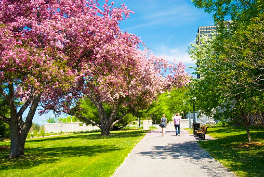6. Ottawa, Canada