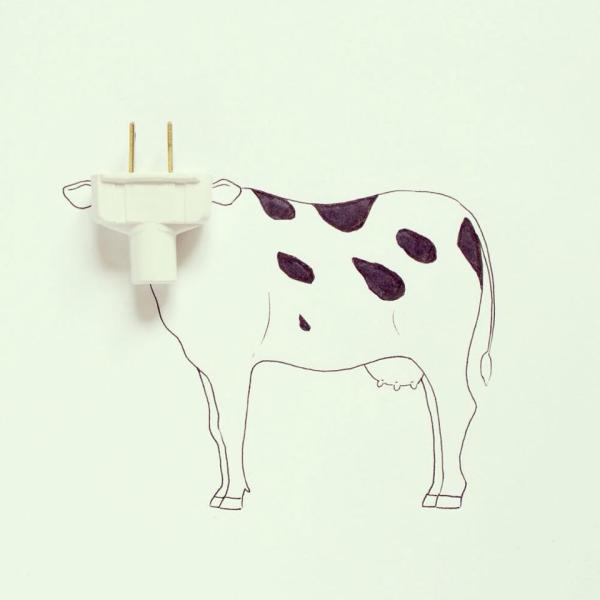 Mucca elettrica