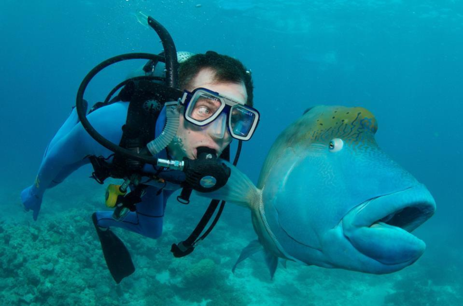 Diving in Australia