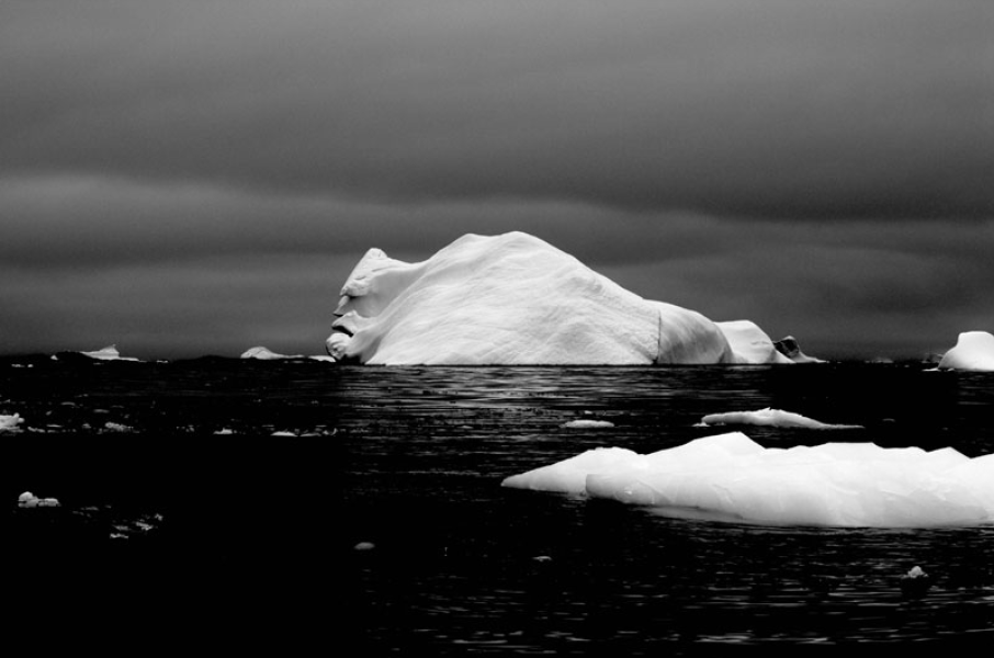 Il volto dell'ice berg