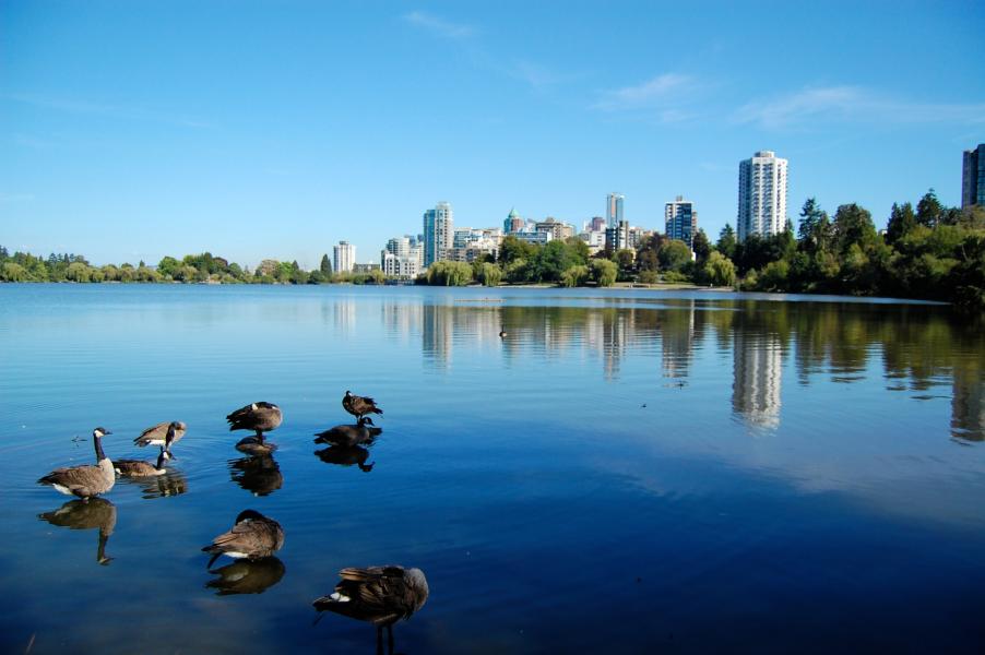 Stanley Park