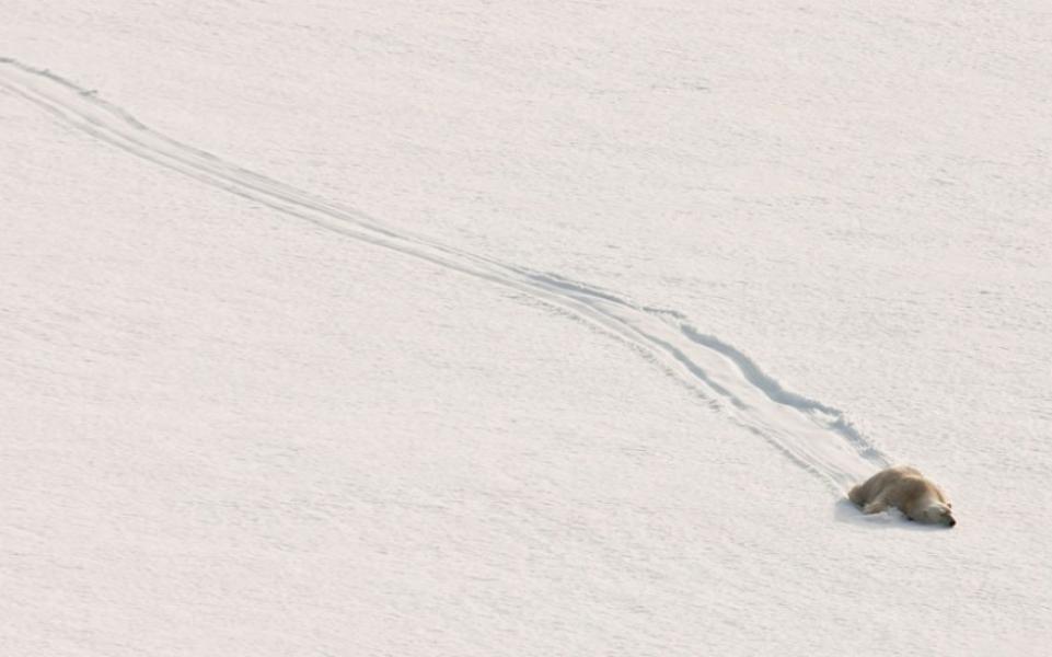 Lo scivolo di neve