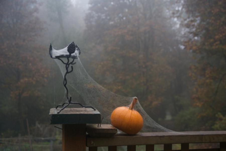 La zucca nella ragnatela