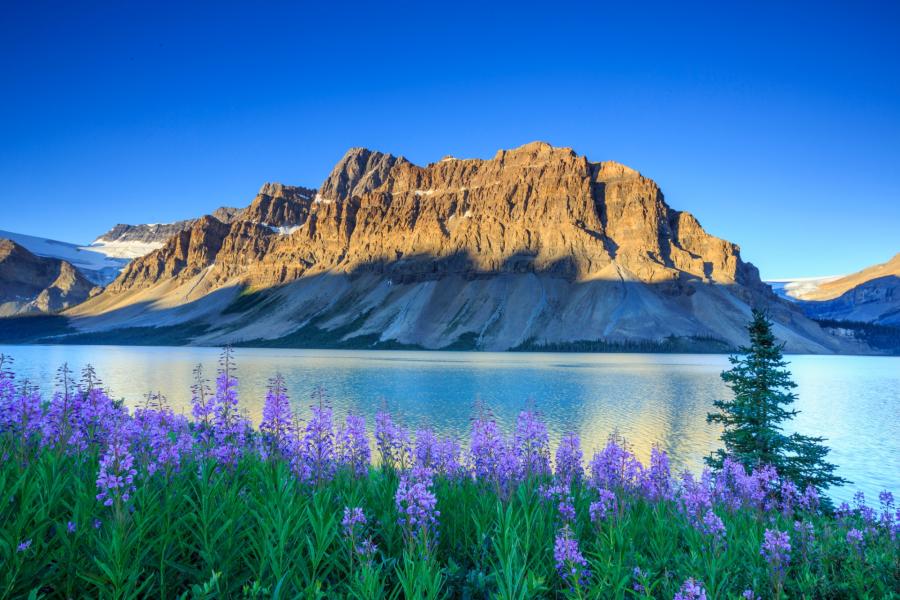 Canada