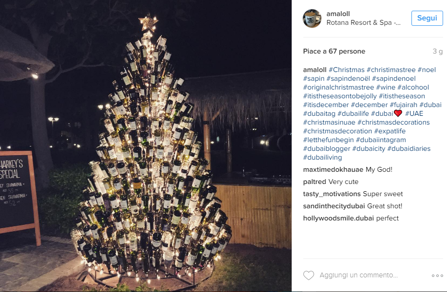 L'albero bottiglia!