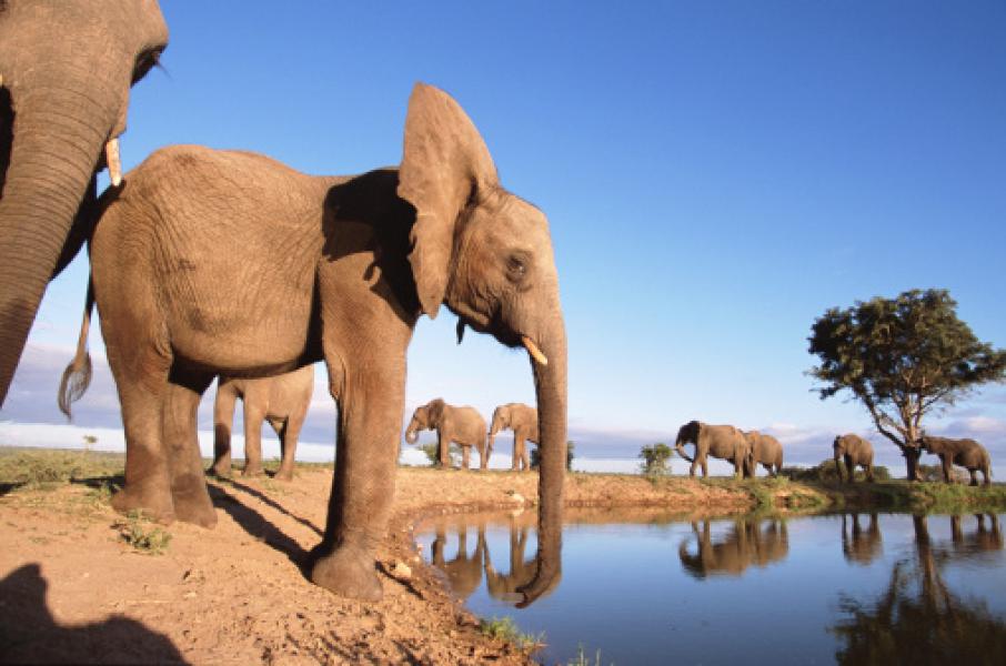 Sudafrica