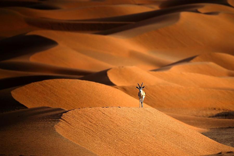 Oman