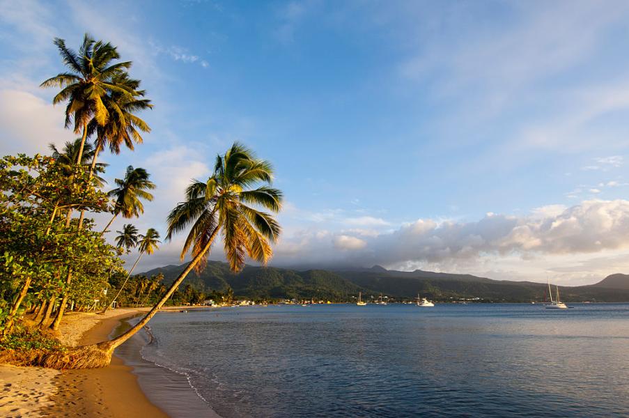Dominica