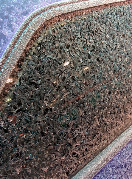 5. Un tappeto di foglie ghiacciate sul finestrino dell’auto 