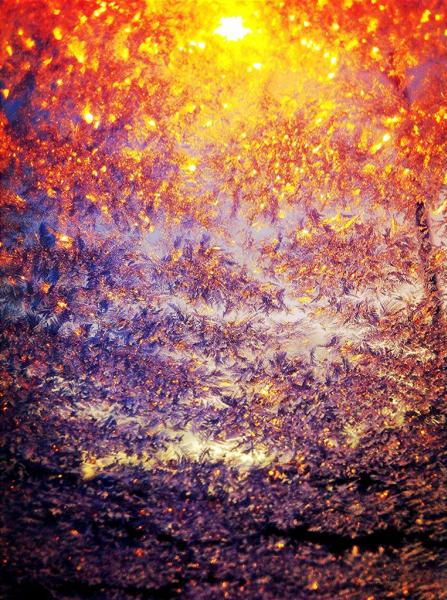 6. A qualcuno questa foto sembra un quadro di Monet! 