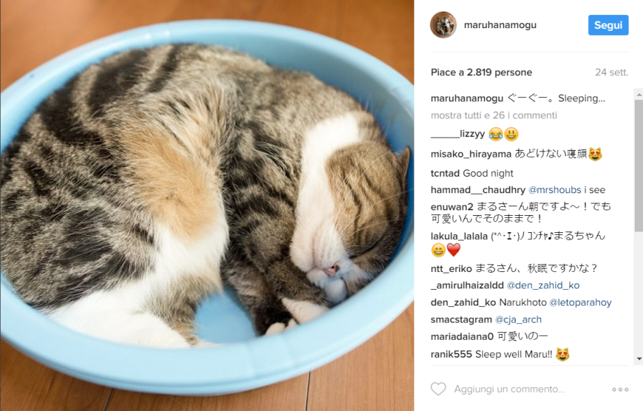 Maru