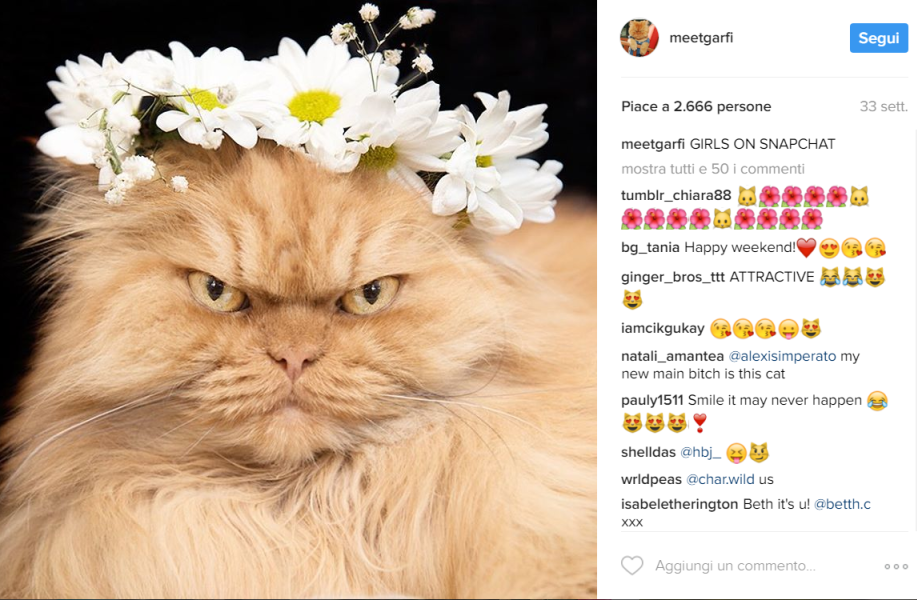 Garfi