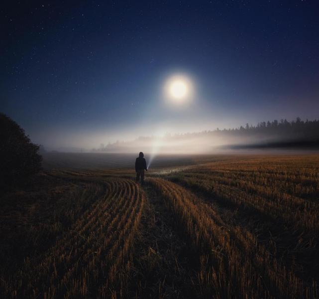 3. In cerca di luce nei campi notturni