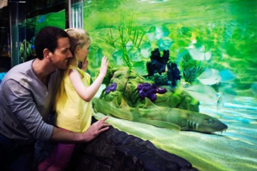 4. Gardaland Sea Life Aquarium