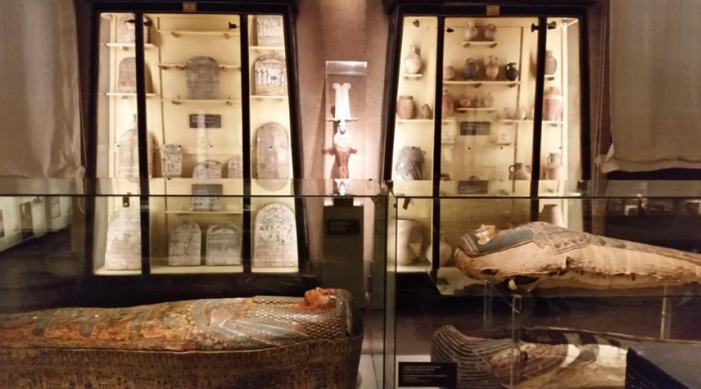 8. Museo Egizio (Firenze)
