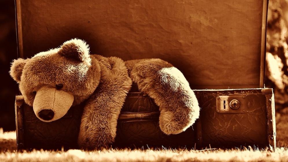1. Gli animaletti di peluche