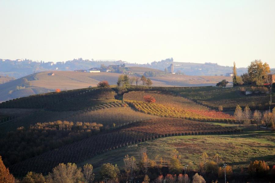 3. Langhe