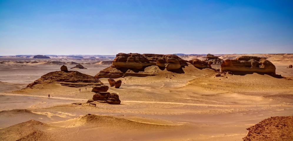 Wadi Al-Hitan aka Whales Valley