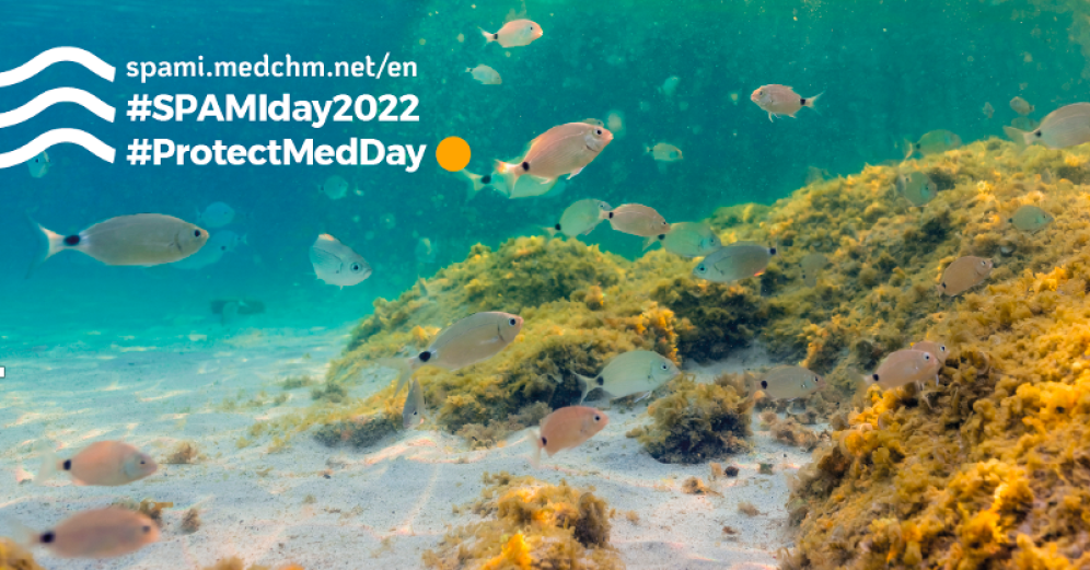 SPAMI Day Monaco 2022