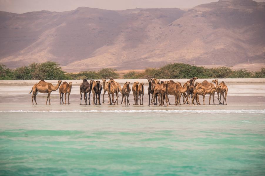 Salalah Beach