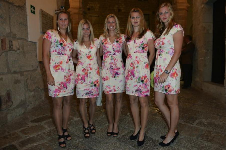 Fed Cup 2013
