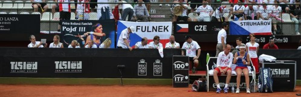 Fed Cup 2013