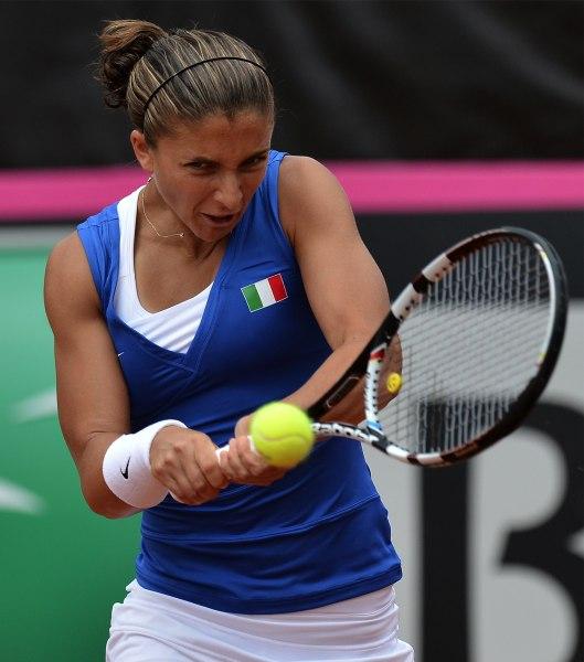 Fed Cup 2013