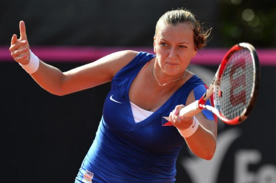 Fed Cup 2013