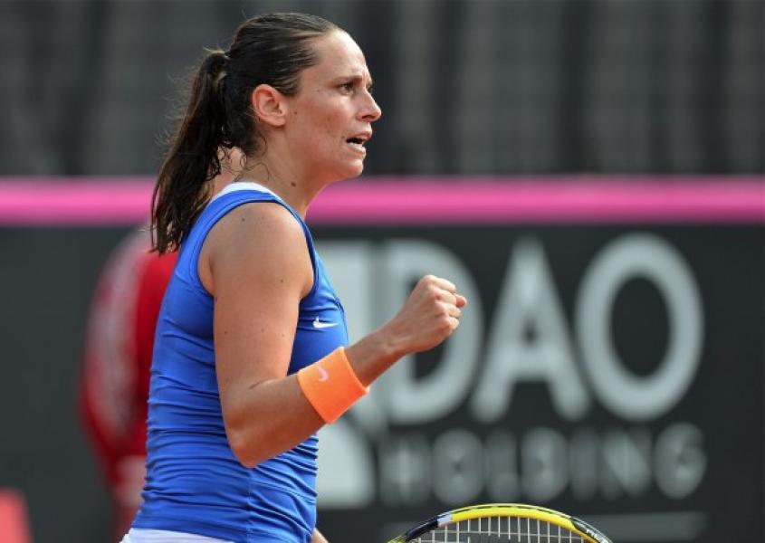Fed Cup 2013