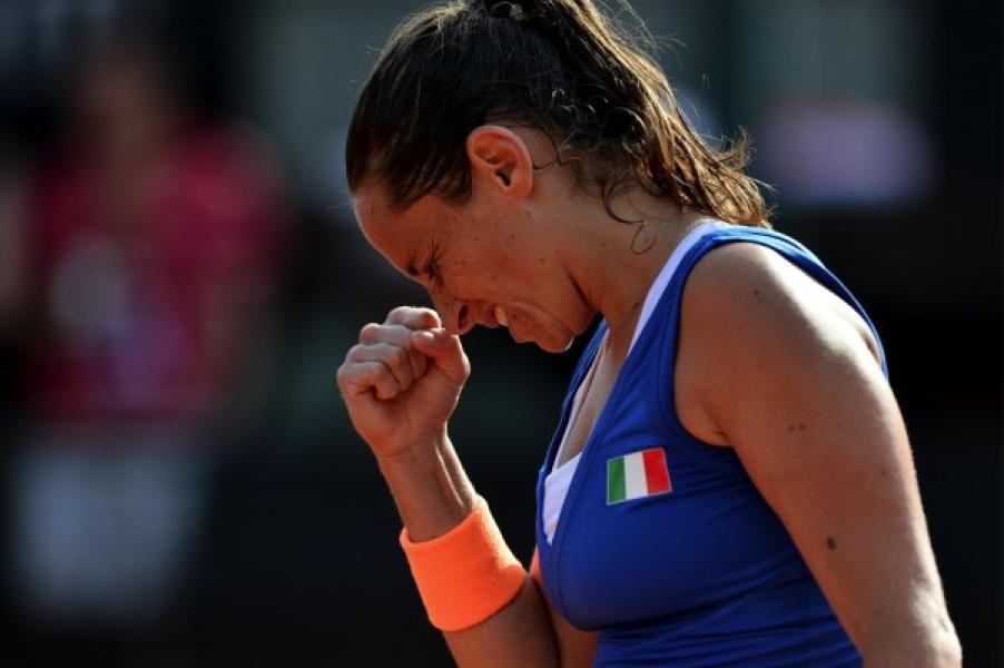 Fed Cup 2013