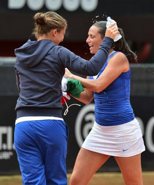 Fed Cup 2013