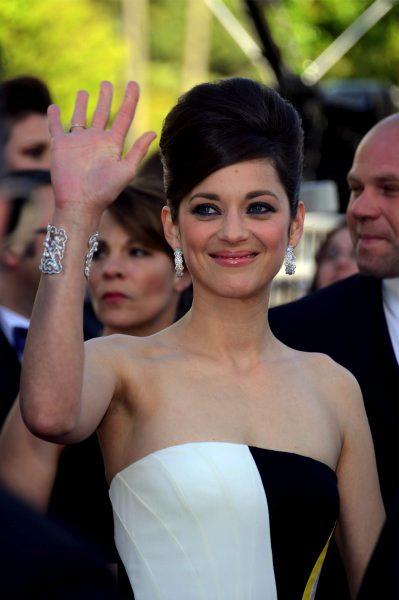 Il red carpet delle star