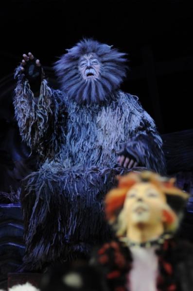 Cats - Musical