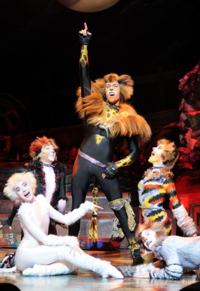 Cats - Musical
