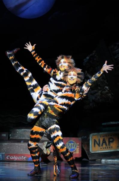 Cats - Musical
