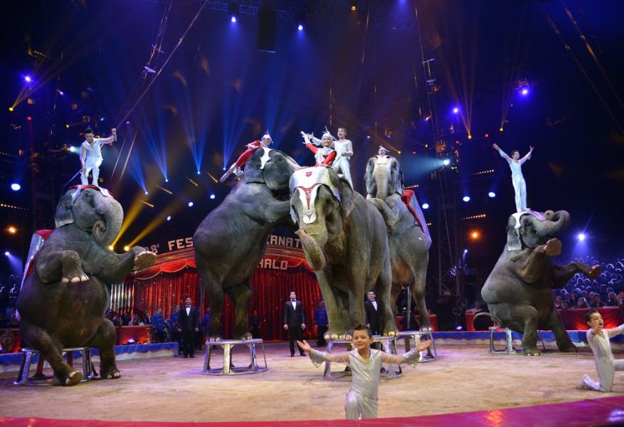 Festival Internazionale del Circo di Monte Carlo - 2014