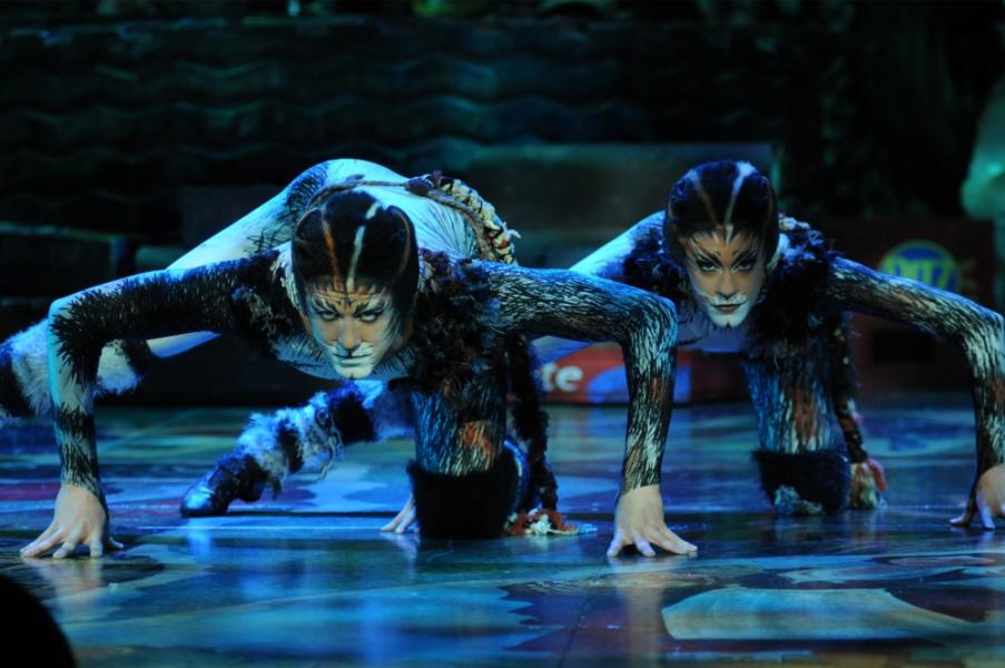 Cats - Musical