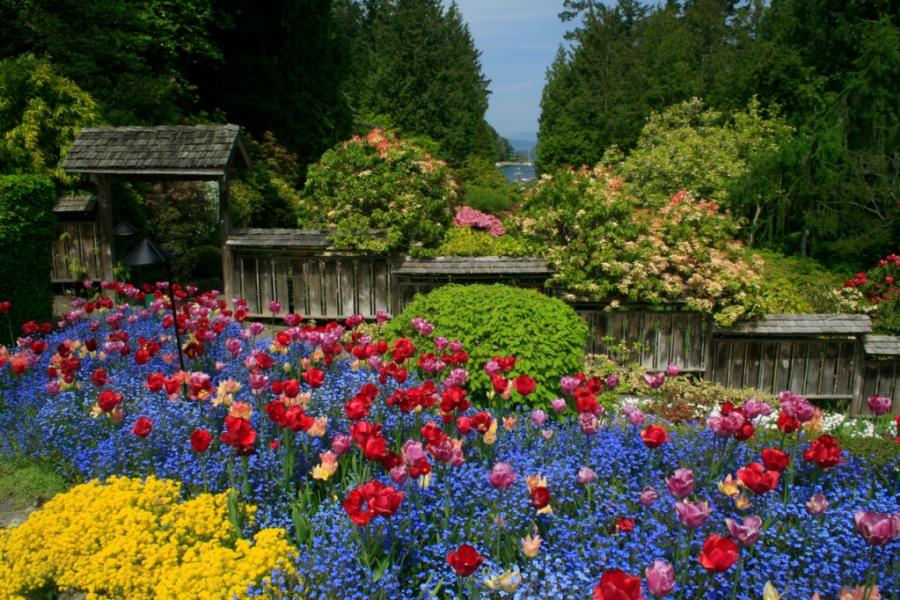 Canada - Travel - Victoria - Butchart Gardens
