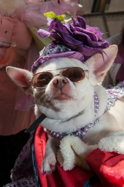 2014 Easter Parade and Easter Bonnet Festival in New York City