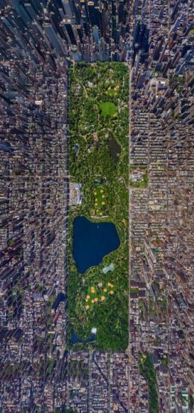 Central-Park-New-York
